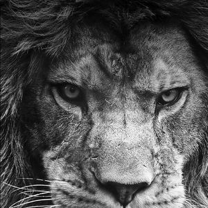 Meet your Posher, Jeffery